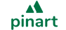 pinart statue logo